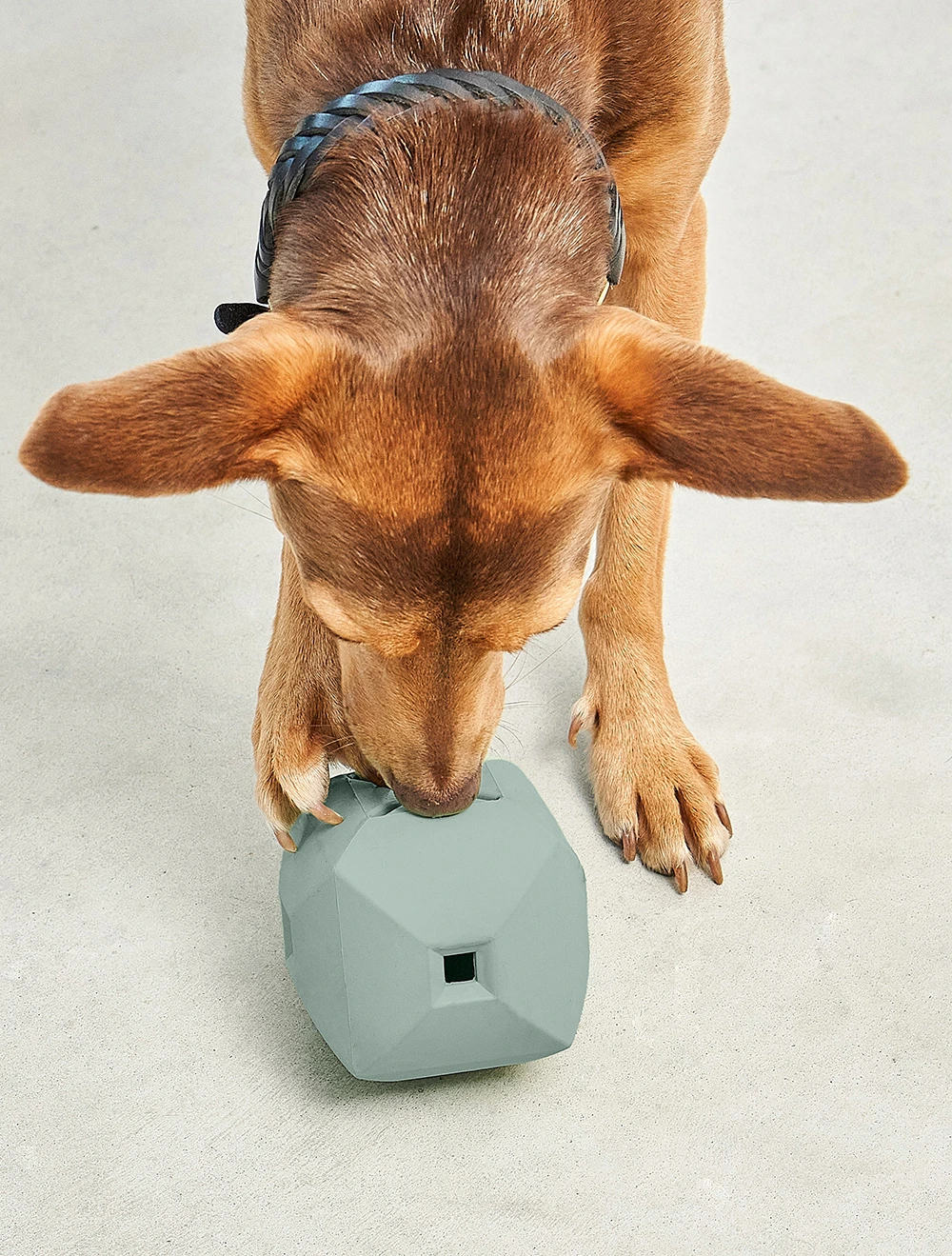 Развивающая игрушка для собак Dado, 9,5x9,5 см