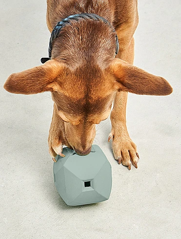 Развивающая игрушка для собак Dado, 9,5x9,5 см