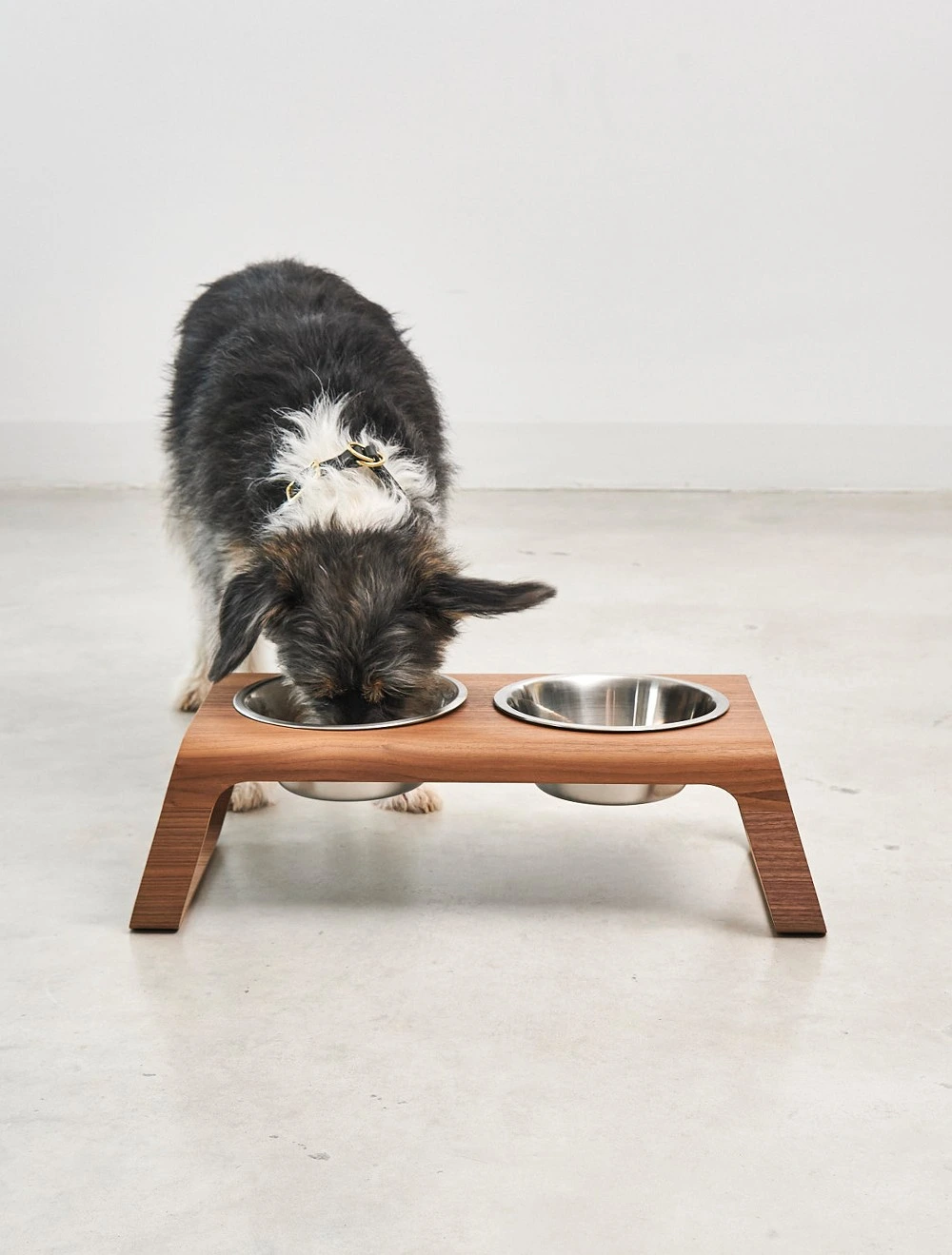 Набор из 2 мисок для собак на подставке Desco, 1,3 л