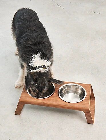 Набор из 2 мисок для собак на подставке Desco, 1,3 л