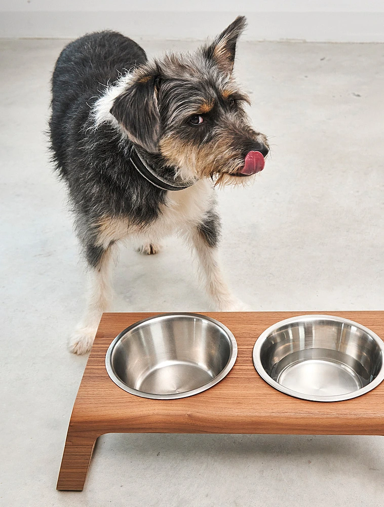 Набор из 2 мисок для собак на подставке Desco, 1,3 л от MiaCara