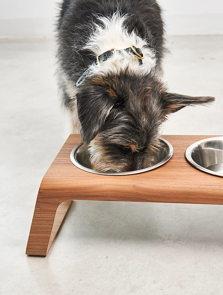 Набор из 2 мисок для собак на подставке Desco, 1,3 л от MiaCara