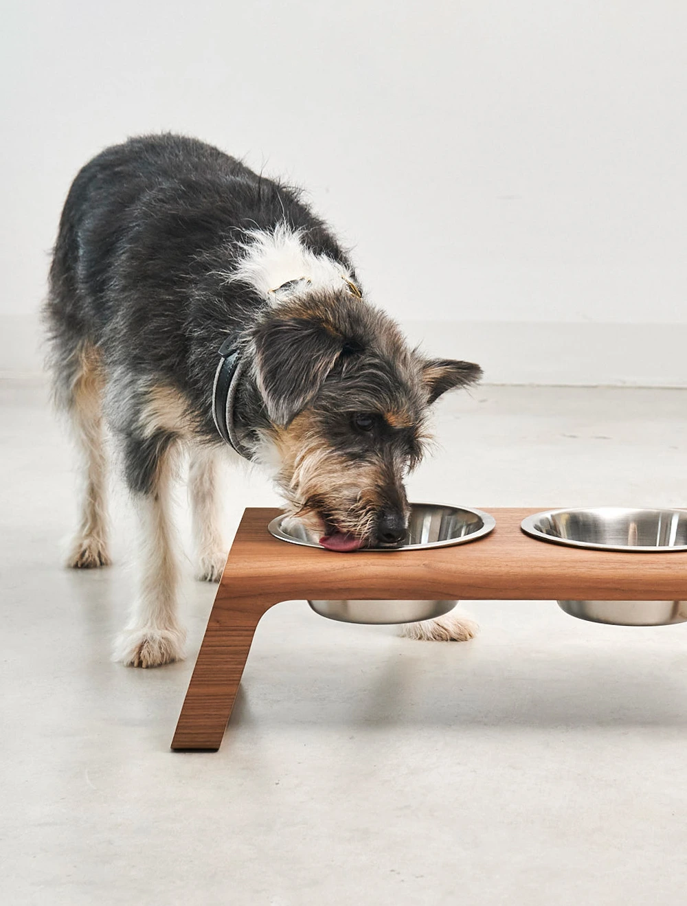 Набор из 2 мисок для собак на подставке Desco, 1,3 л