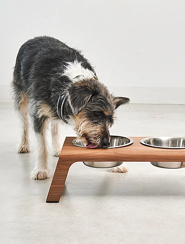 Набор из 2 мисок для собак на подставке Desco, 1,3 л