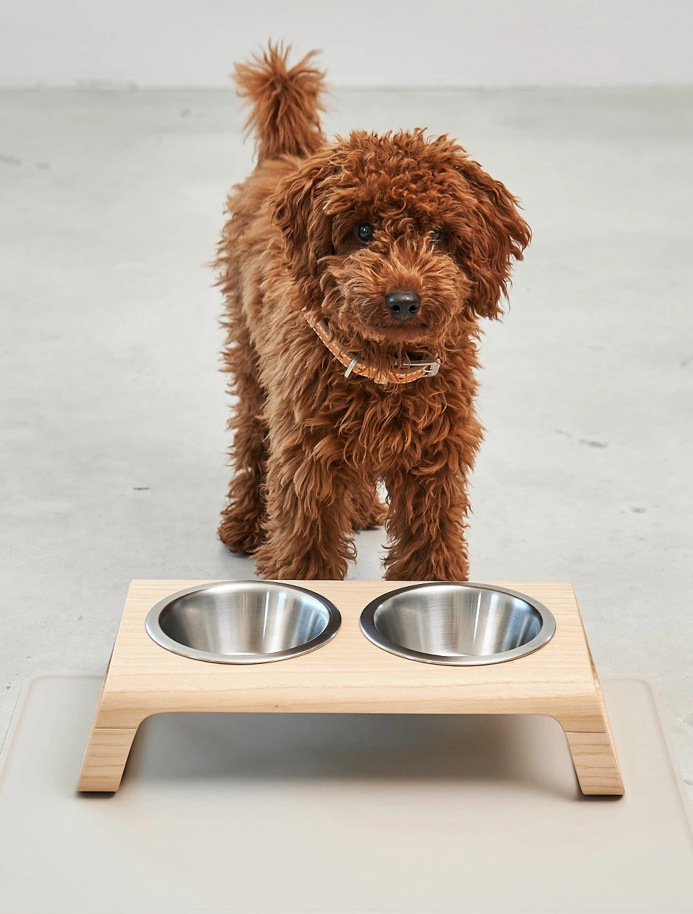 Набор из 2 мисок для собак на подставке Desco, 400 мл