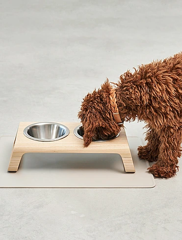 Набор из 2 мисок для собак на подставке Desco, 400 мл