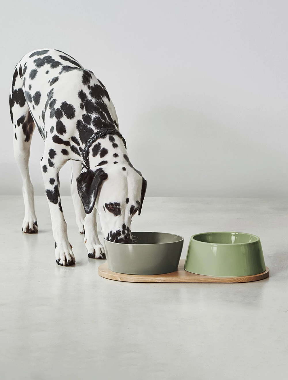 Набор из 2 мисок для собак Doppio