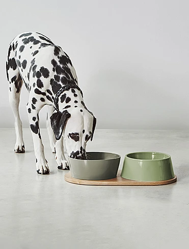 Набор из 2 мисок для собак Doppio