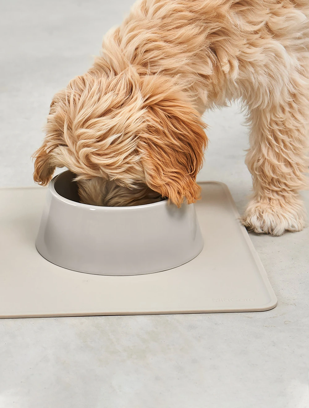 Набор из 2 мисок для собак Doppio