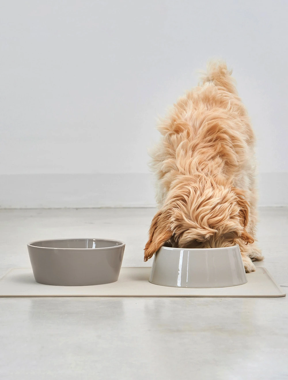 Набор из 2 мисок для собак Doppio