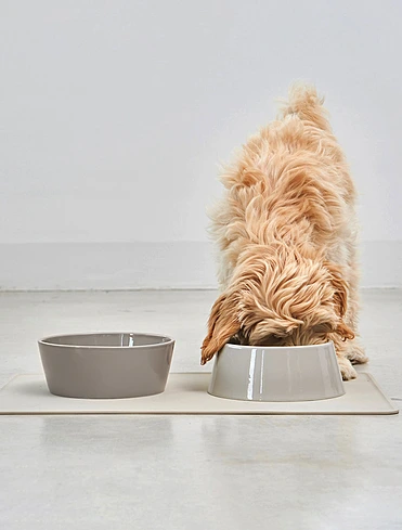 Набор из 2 мисок для собак Doppio