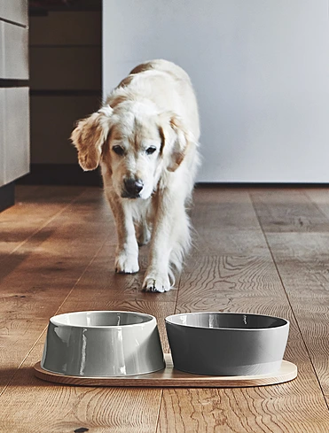 Подставка под миски для собак Doppio, 45,5x24 см