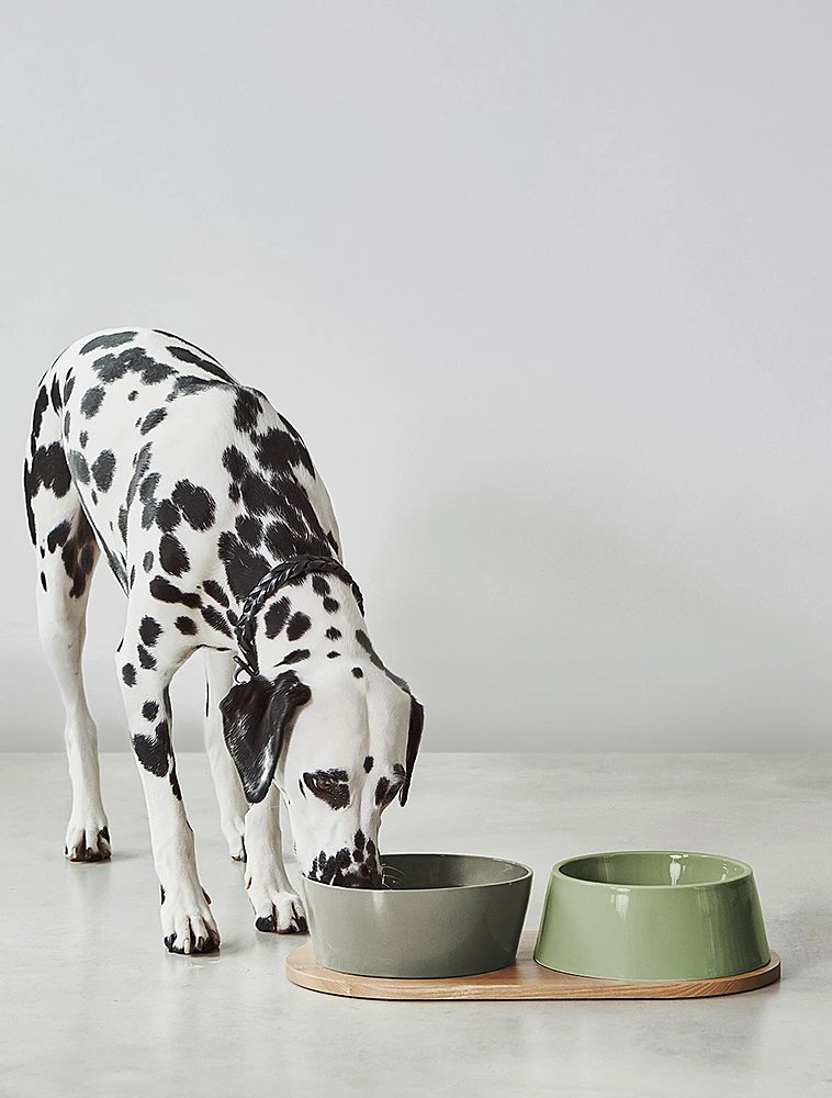 Подставка под миски для собак Doppio, 45,5x24 см от MiaCara