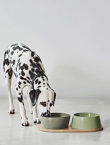 Подставка под миски для собак Doppio, 45,5x24 см