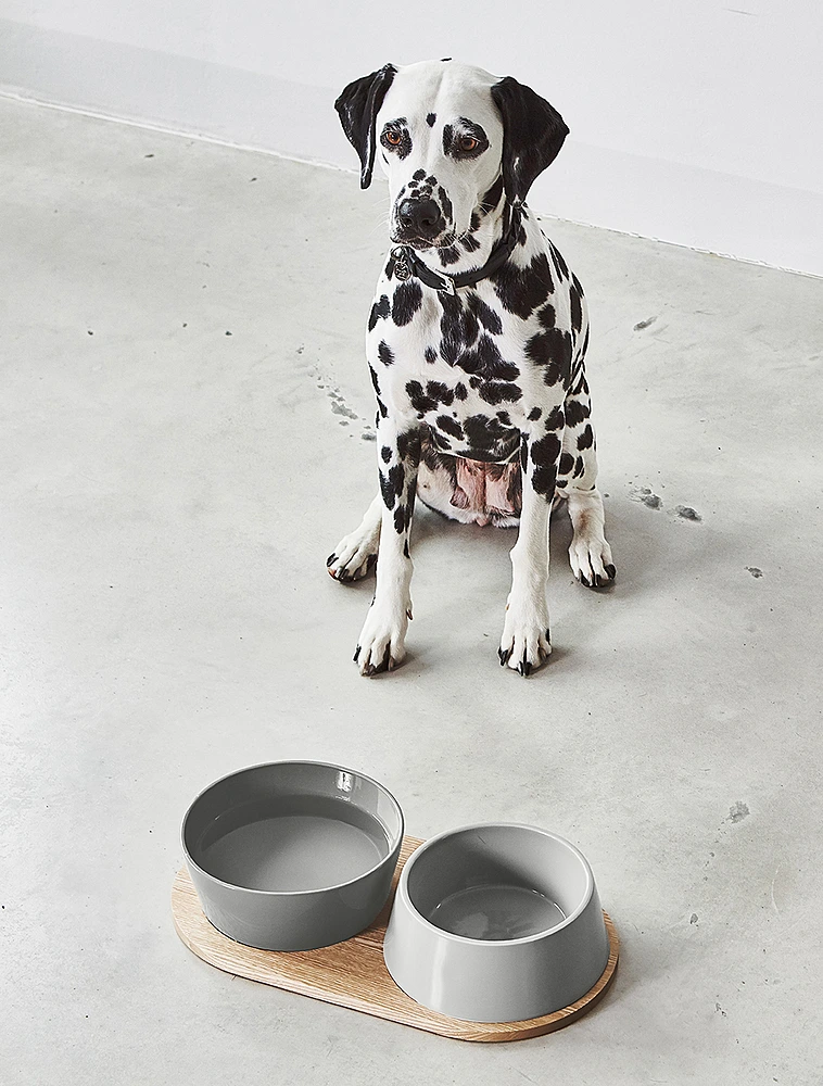 Подставка под миски для собак Doppio, 45,5x24 см от MiaCara
