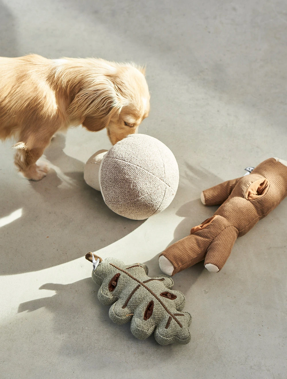 Набор из 3 мягких игрушек для собак Foresta