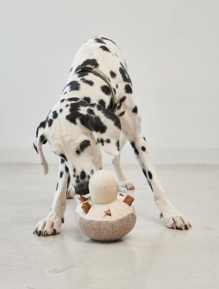 Набор из 3 мягких игрушек для собак Foresta от MiaCara