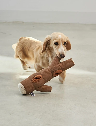 Набор из 3 мягких игрушек для собак Foresta