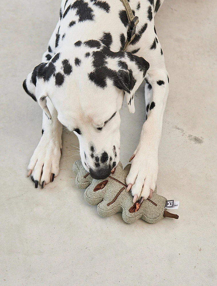 Набор из 3 мягких игрушек для собак Foresta от MiaCara