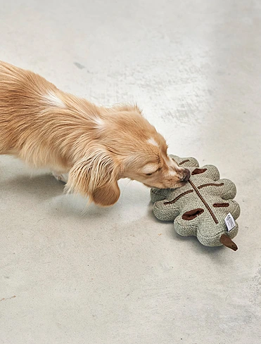 Набор из 3 мягких игрушек для собак Foresta