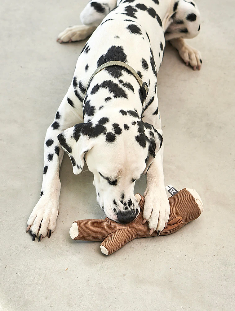 Набор из 3 мягких игрушек для собак Foresta от MiaCara