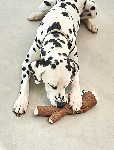 Набор из 3 мягких игрушек для собак Foresta