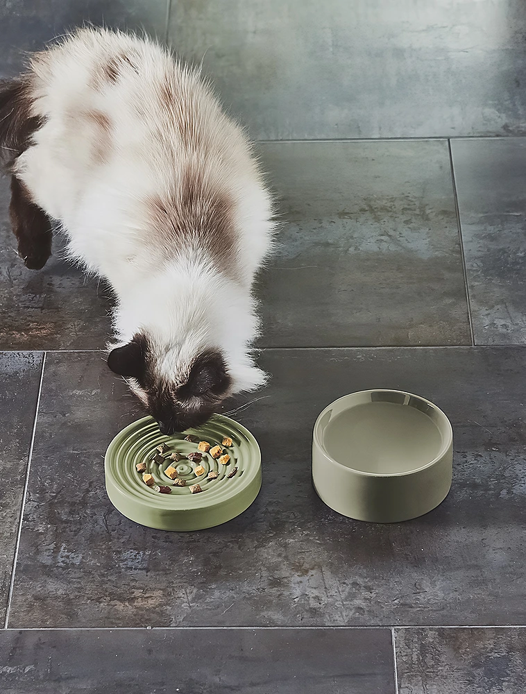 Миска для кошек Fresco, 250 мл от MiaCara