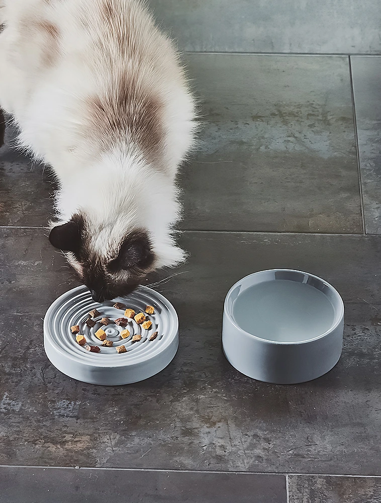 Миска для кошек Fresco, 250 мл от MiaCara