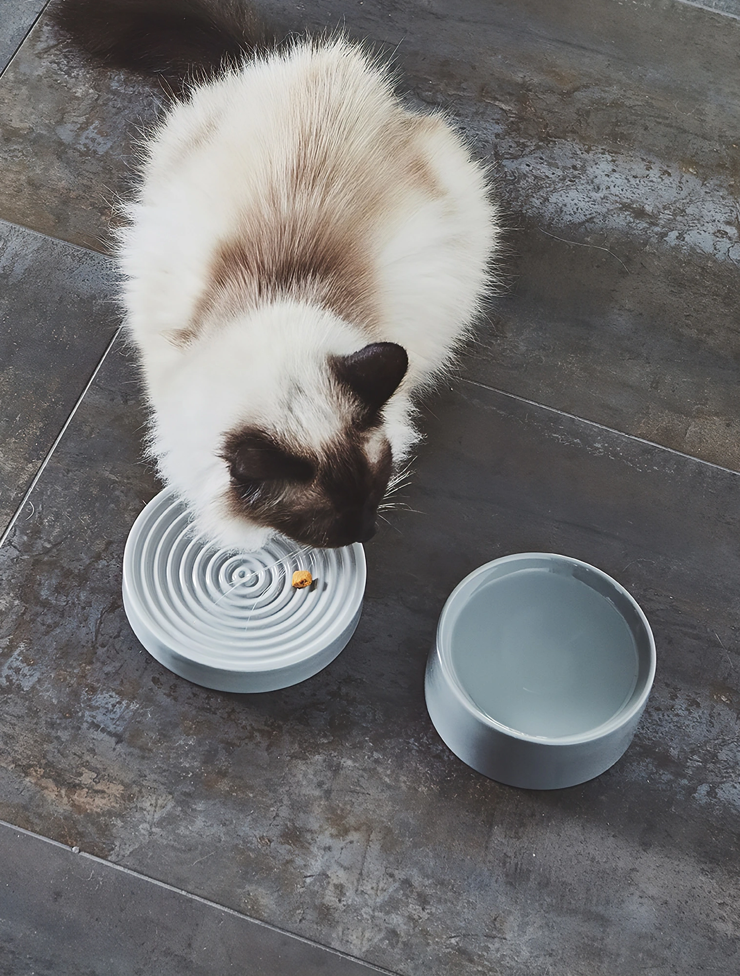 Миска для кошек Fresco, 250 мл