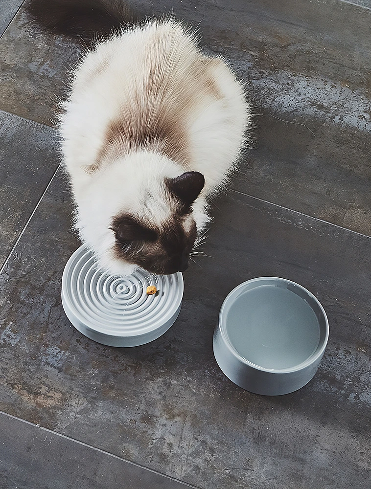 Миска для кошек Fresco, 250 мл от MiaCara