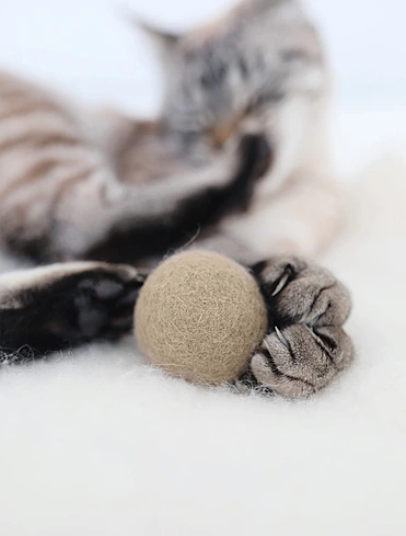 Набор из 3 мячей для кошек Globo, 4 см