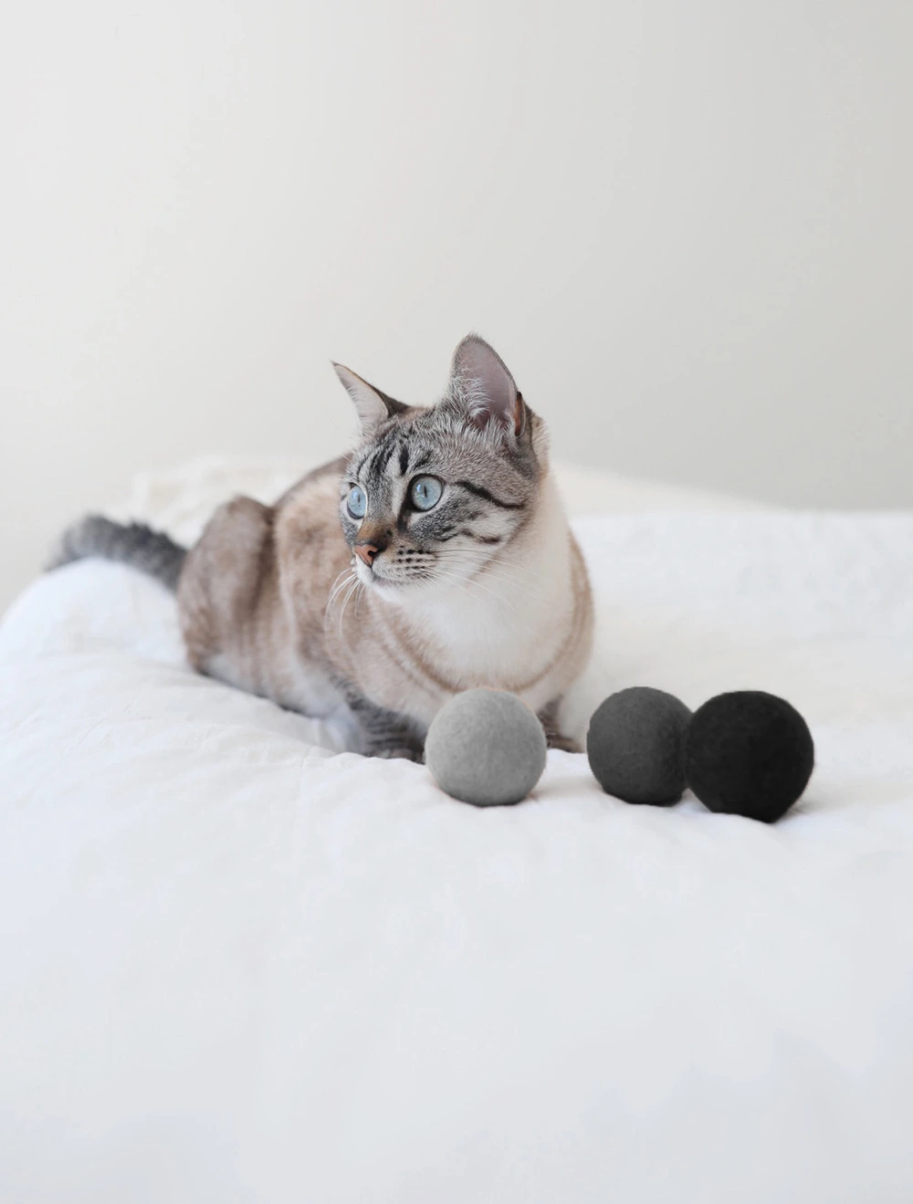 Набор из 3 мячей для кошек Globo, 4 см