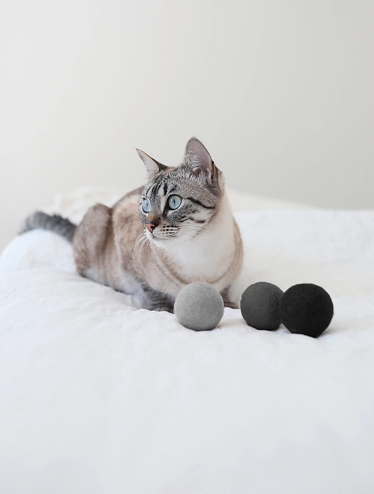 Набор из 3 мячей для кошек Globo, 4 см от MiaCara