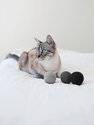 Набор из 3 мячей для кошек Globo, 4 см