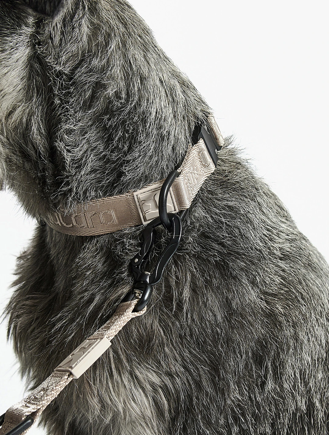 Ошейник для собак Modena, 40-63 см