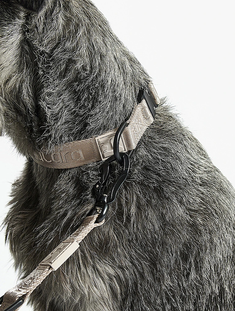 Ошейник для собак Modena, 40-63 см от MiaCara