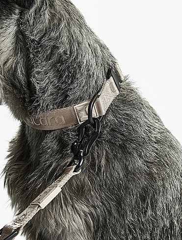 Ошейник для собак Modena, 40-63 см