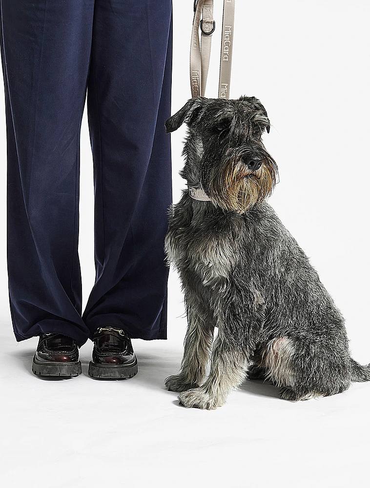 Поводок для собак Modena, 2 м от MiaCara