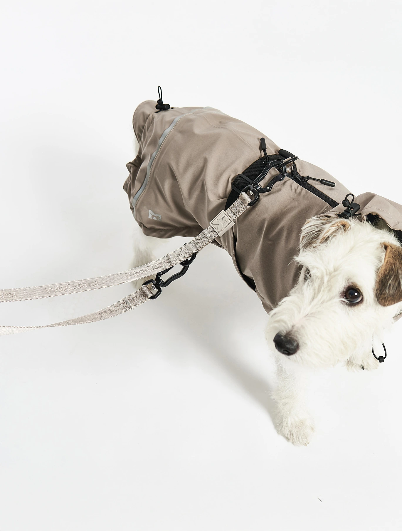 Поводок для собак Modena, 2 м