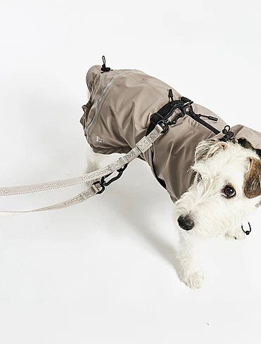 Поводок для собак Modena, 2 м