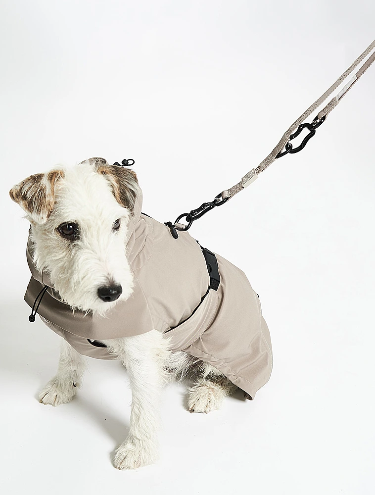 Поводок для собак Modena, 2 м от MiaCara