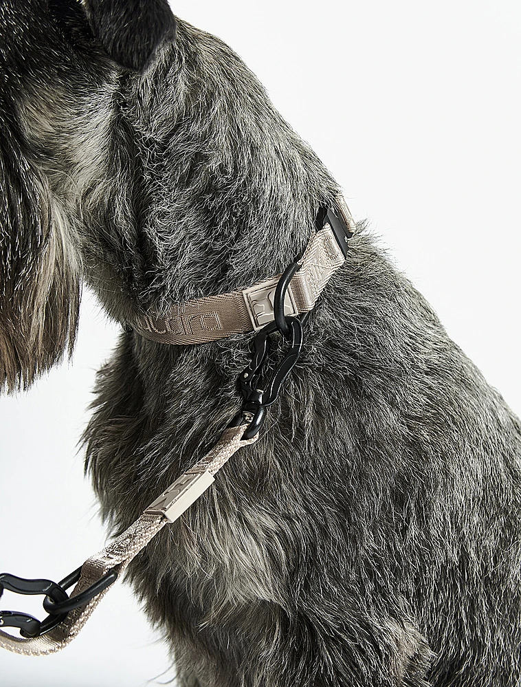 Поводок для собак Modena, 2 м от MiaCara