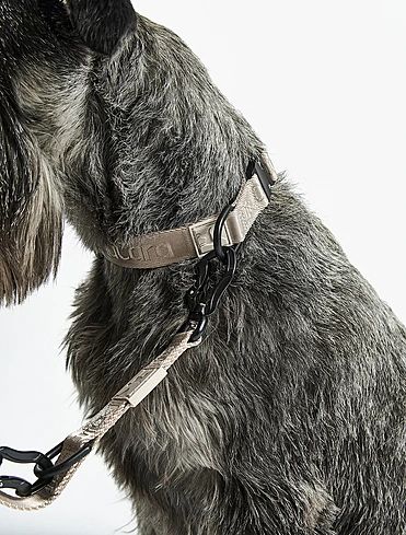 Поводок для собак Modena, 2 м