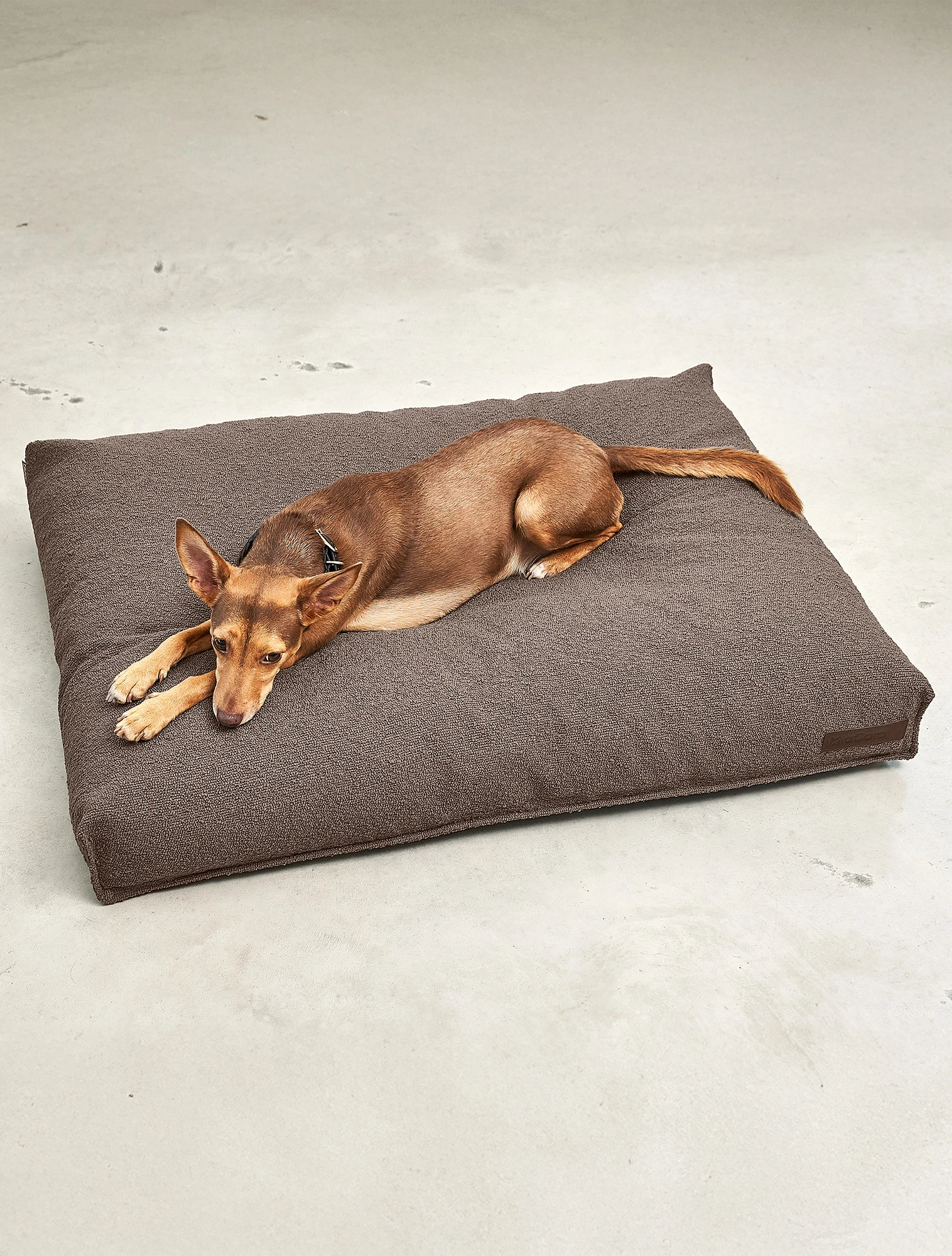 Лежанка для собак Mondo, 90x70 см