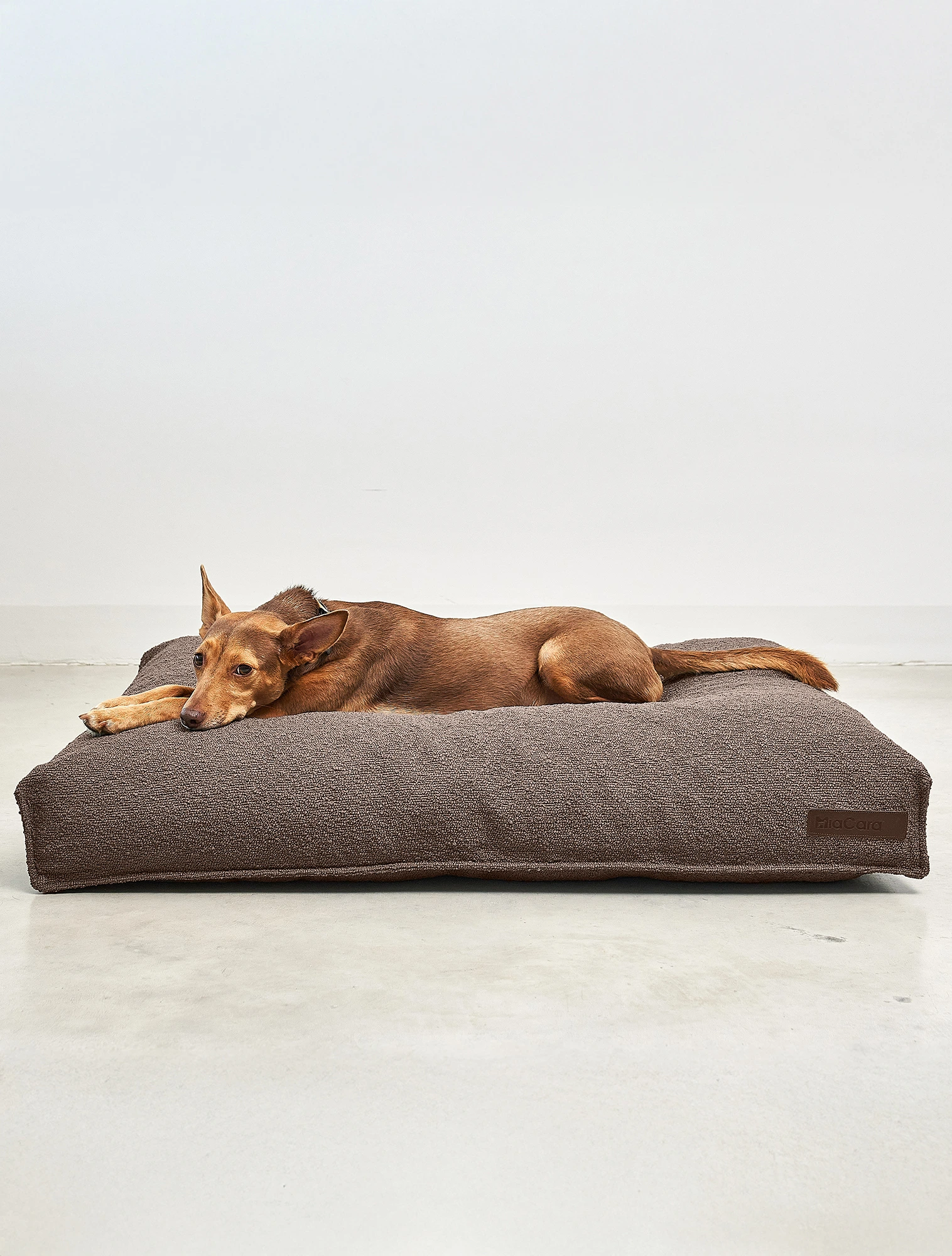 Лежанка для собак Mondo, 90x70 см