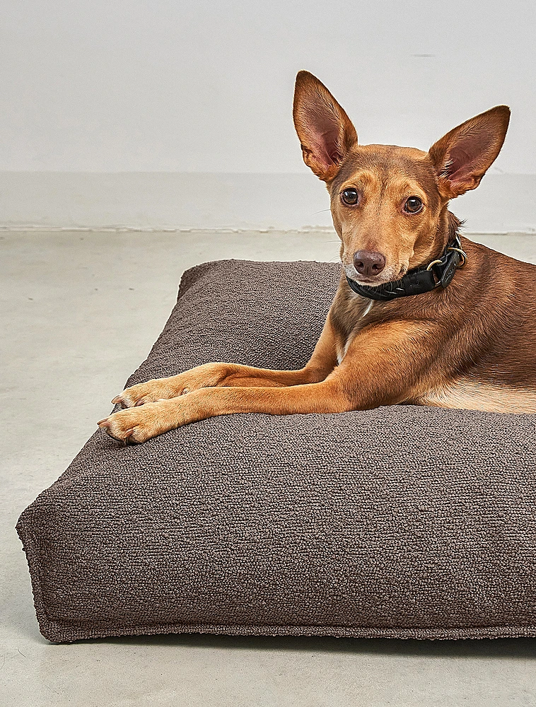Лежанка для собак Mondo, 90x70 см от MiaCara
