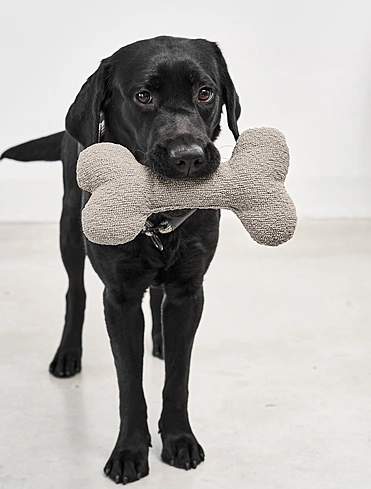 Мягкая игрушка для собак Mondo, 27 см