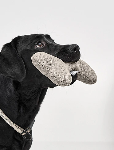 Мягкая игрушка для собак Mondo, 27 см