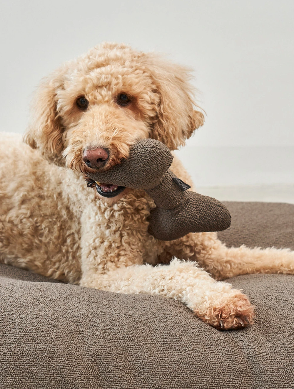 Мягкая игрушка для собак Mondo, 27 см