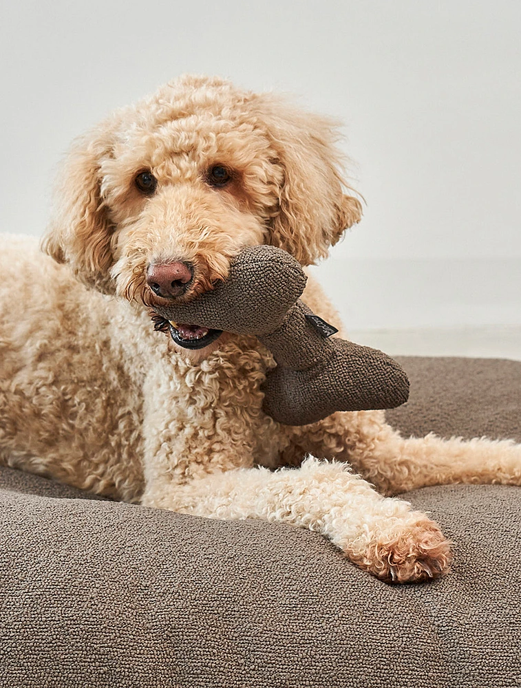 Мягкая игрушка для собак Mondo, 27 см от MiaCara